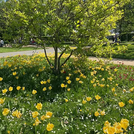 Bauhaus Design-luxus Apartment, 20er Jahre Stil, Garten